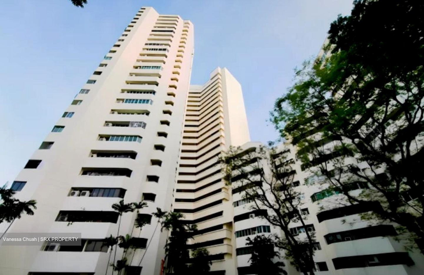 Ivory Heights (D22), Condominium #516052391
